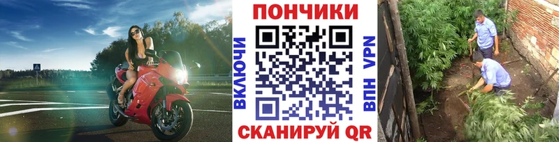 Наркошоп Котельнич ГАШИШ  COCAIN  МЕФ  Альфа ПВП  Конопля 
