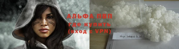 шишки Переславль-Залесский