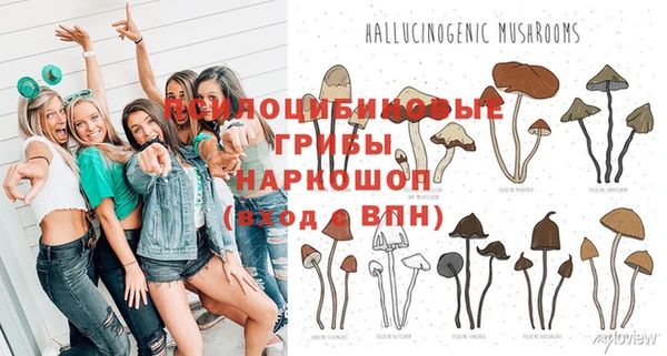 гашиш Абаза