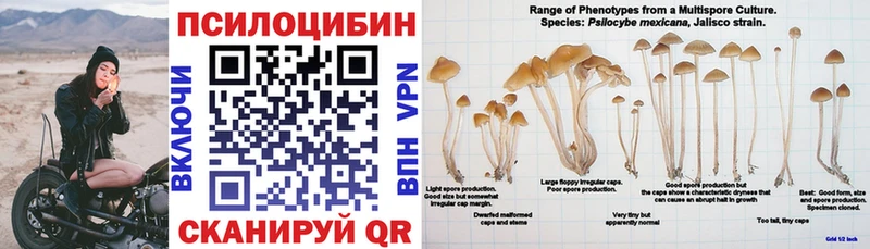 Псилоцибиновые грибы мухоморы Котельнич